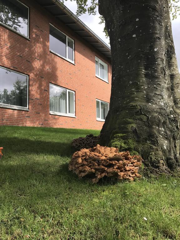 Hotel Jernbanegade Kibæk エクステリア 写真